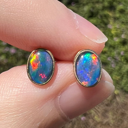 Close-up macro of bright Australian opal triplet stud earrings in 9k gold with bright red and blue flashes of color, held between fingers in natural light