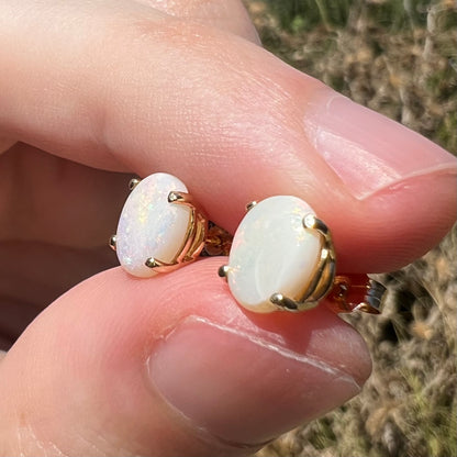 Crazed Australian opal stud earrings in sunlight, shown from angle between two fingers