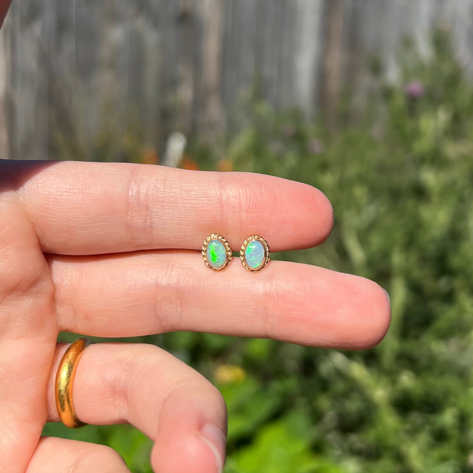 Dainty pair of green Australian opal stud earrings in yellow gold, held between two fingers in natural sunlight against blurred outdoor backdrop.