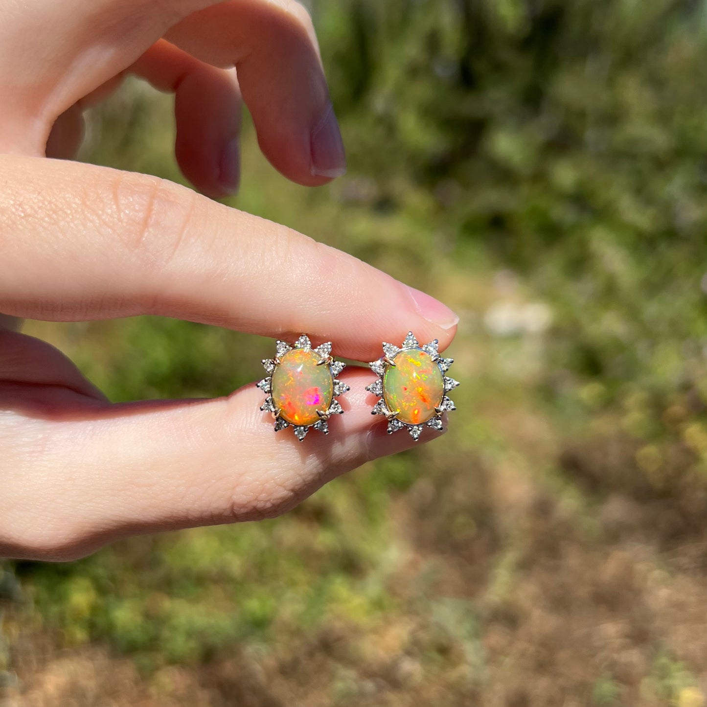 Fingers holding Ethiopian fire opal and diamond halo stud earrings in natural sunlight