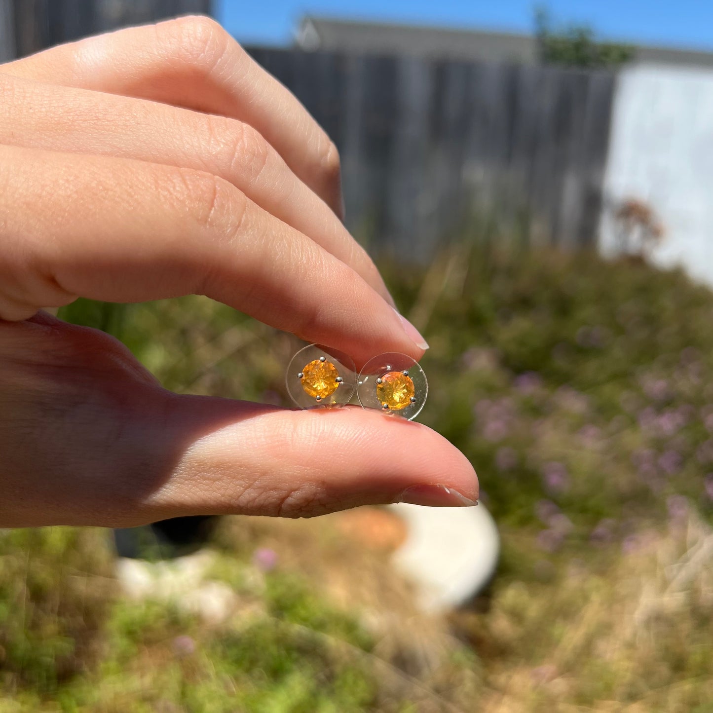 A pair of Mexican fire opal stud earrings in sterling silver shown at a distance in daylight.