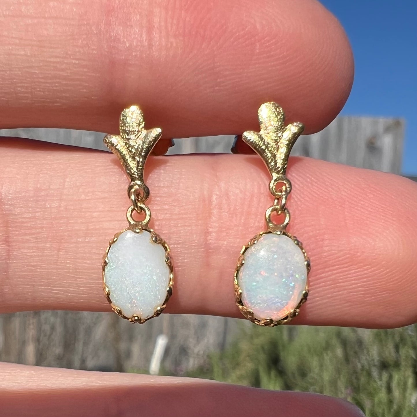 Close-up sunlight view of a pair of yellow gold Fleur-de-Lis Australian light opal dangle earrings held between two fingers.