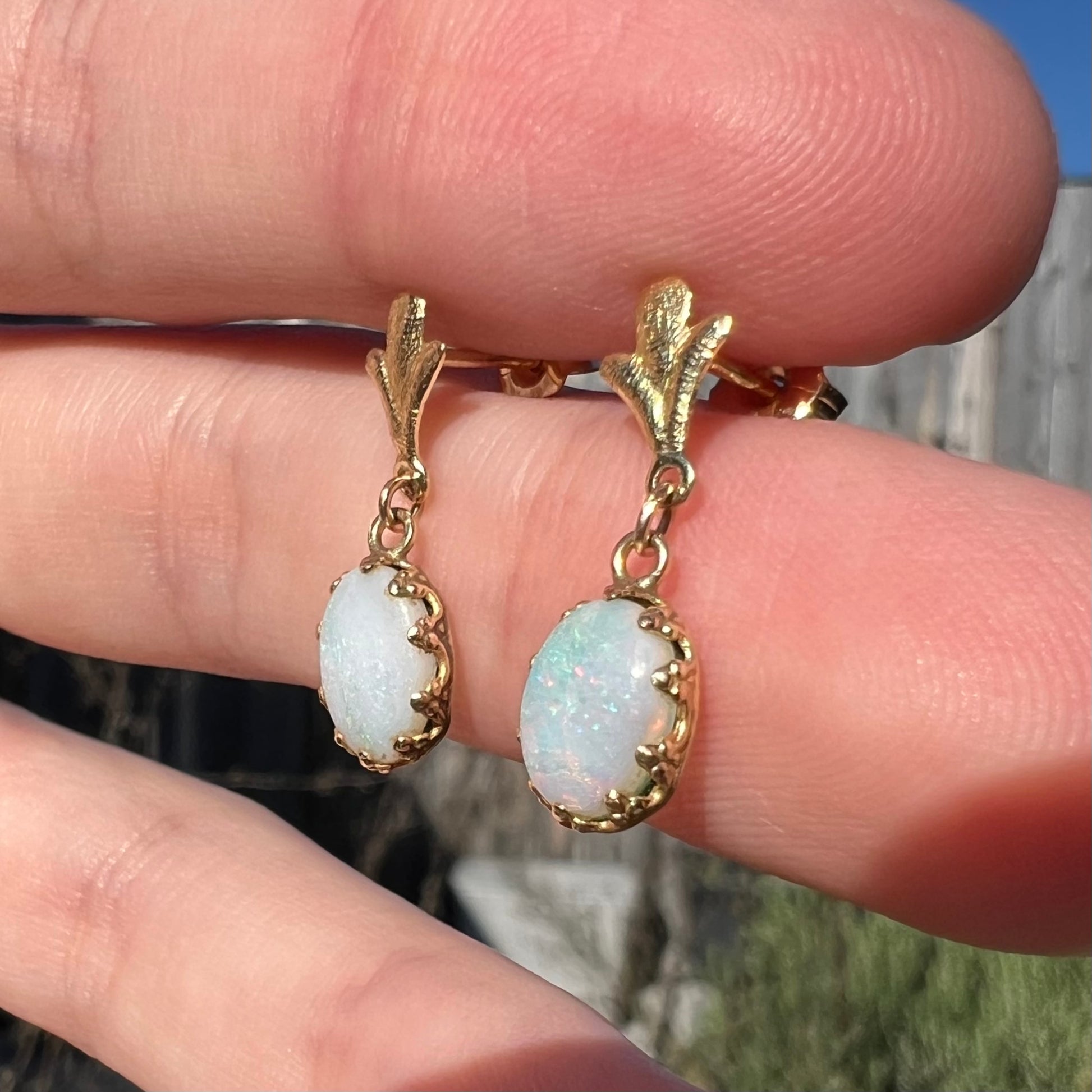 A pair of yellow gold Fleur-de-Lis Australian light opal dangle earrings shown close-up from an angle in the sunlight.