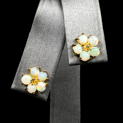 Gold-tone flower-shaped Australian opal stud earrings on earring display
