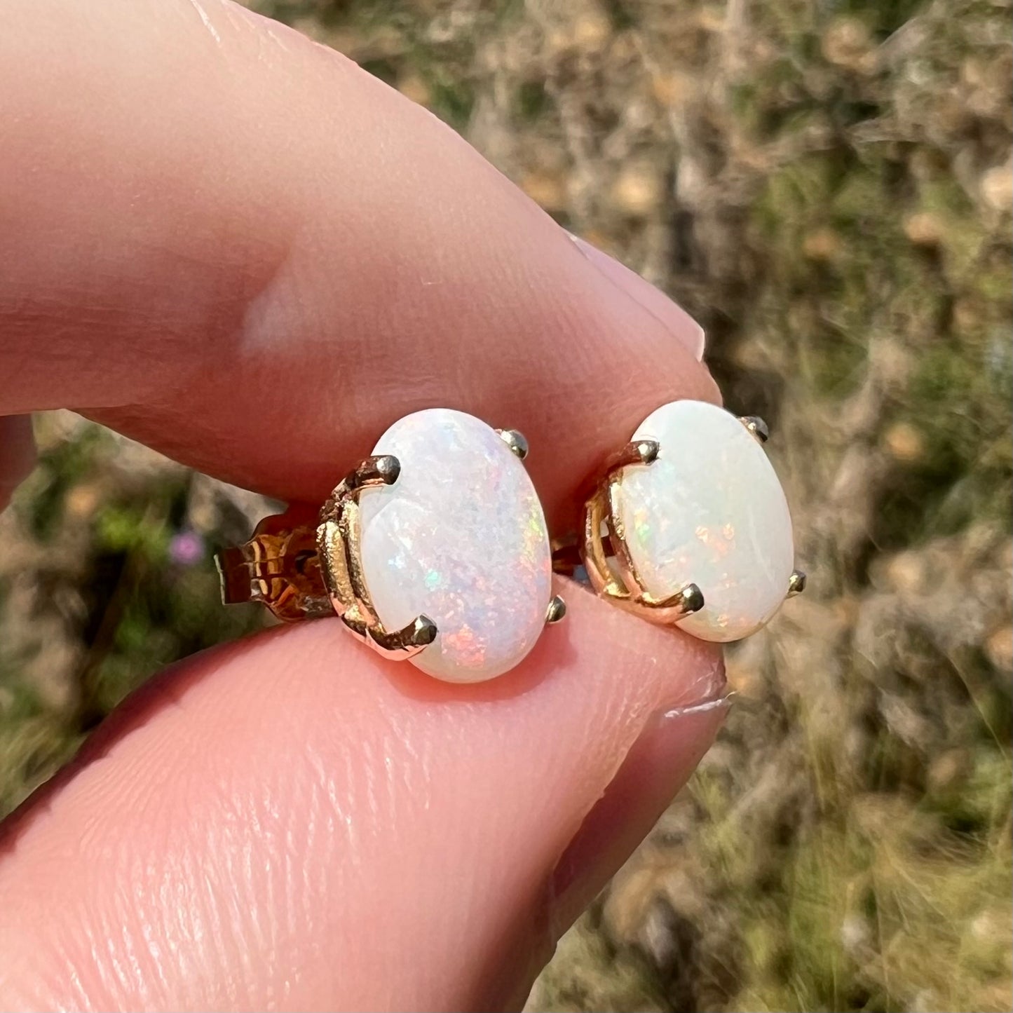 Four prong set opal stud earrings shown in sunlight from angle between fingers