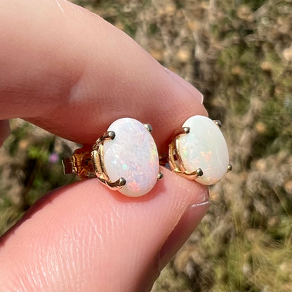Four prong set opal stud earrings shown in sunlight from angle between fingers