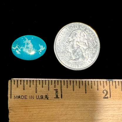 An electric blue Pilot Mountain turquosie stone from Nevada.  The turquoise is cut into an oval shaped cabochon.