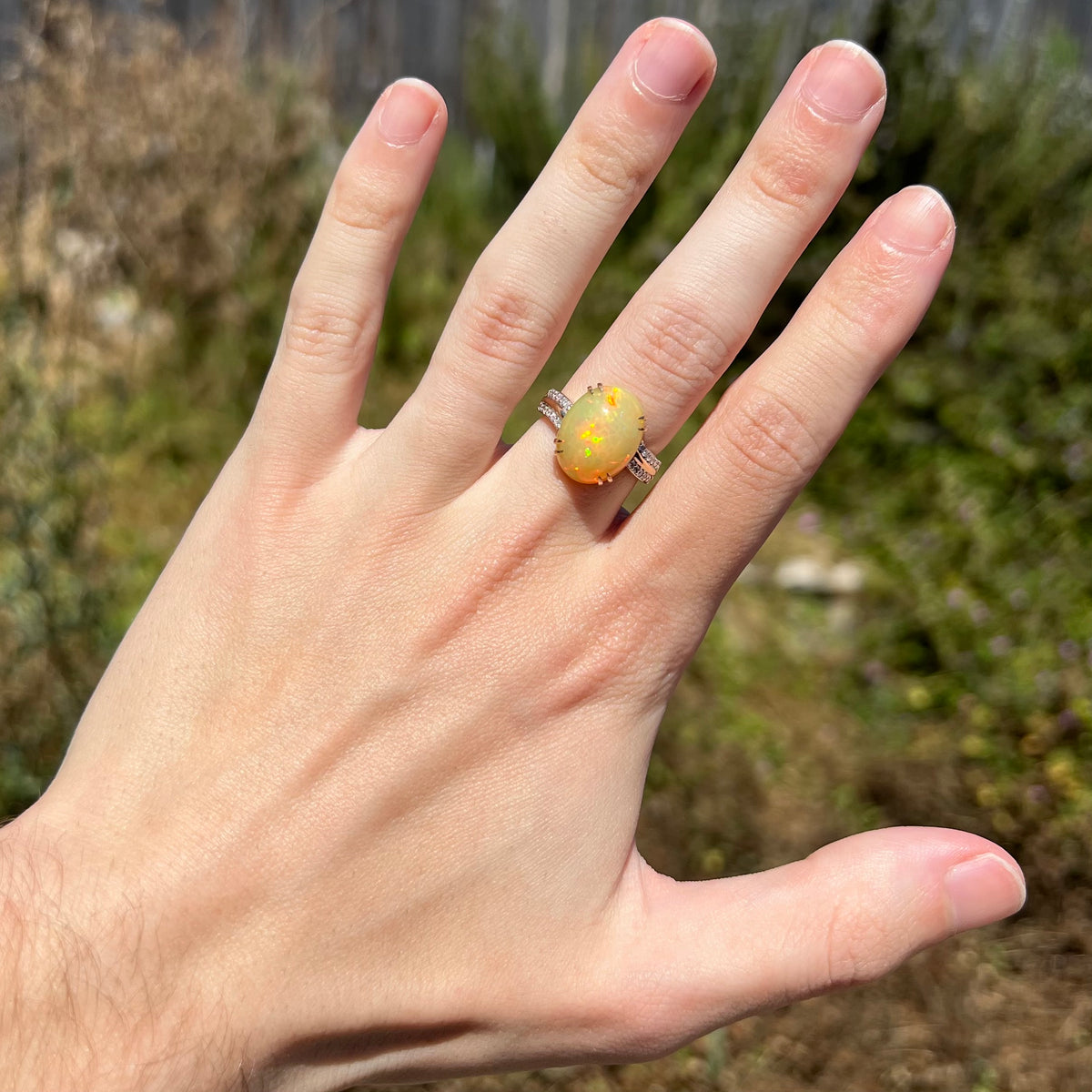 Hand wearing a 14k gold Ethiopian opal cocktail ring with diamond accents in natural sunlight