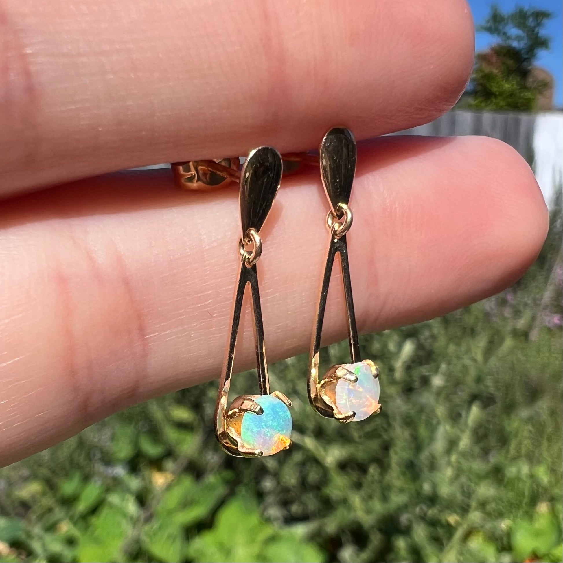 Close-up angled view of yellow gold opal drop earrings held between two fingers in sunlight against blurred leafy background.