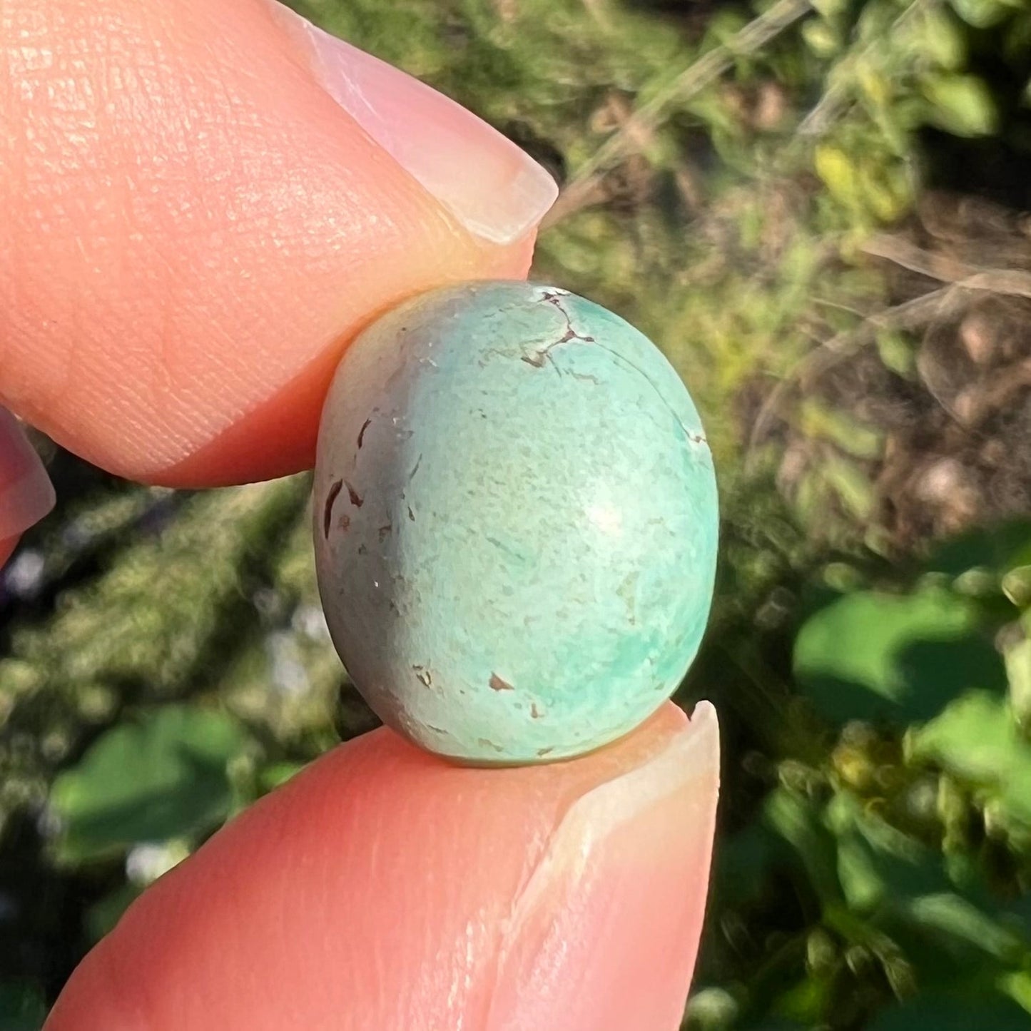 A loose, oval cabochon cut turquoise stone from the Sleeping Beauty Mine in Arizona.  The stone is a greenish blue color.