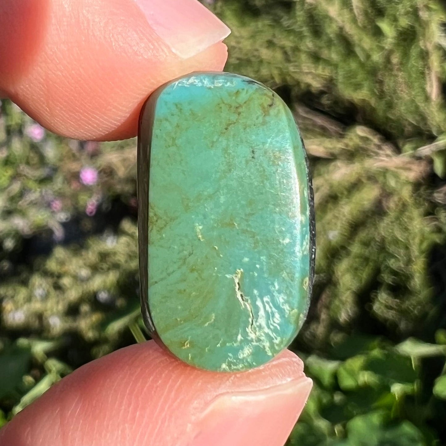 A loose, green turquoise stone from the Royston Mining District in Nevada.