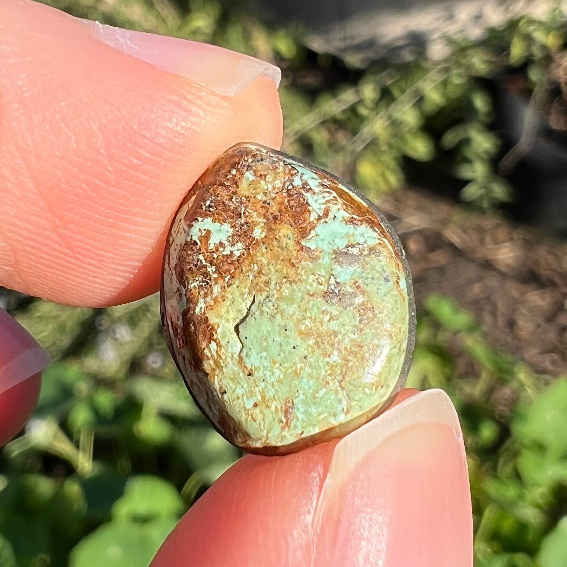 A greenish blue turquoise stone with brown matrix from Royston Mining District, Nevada.