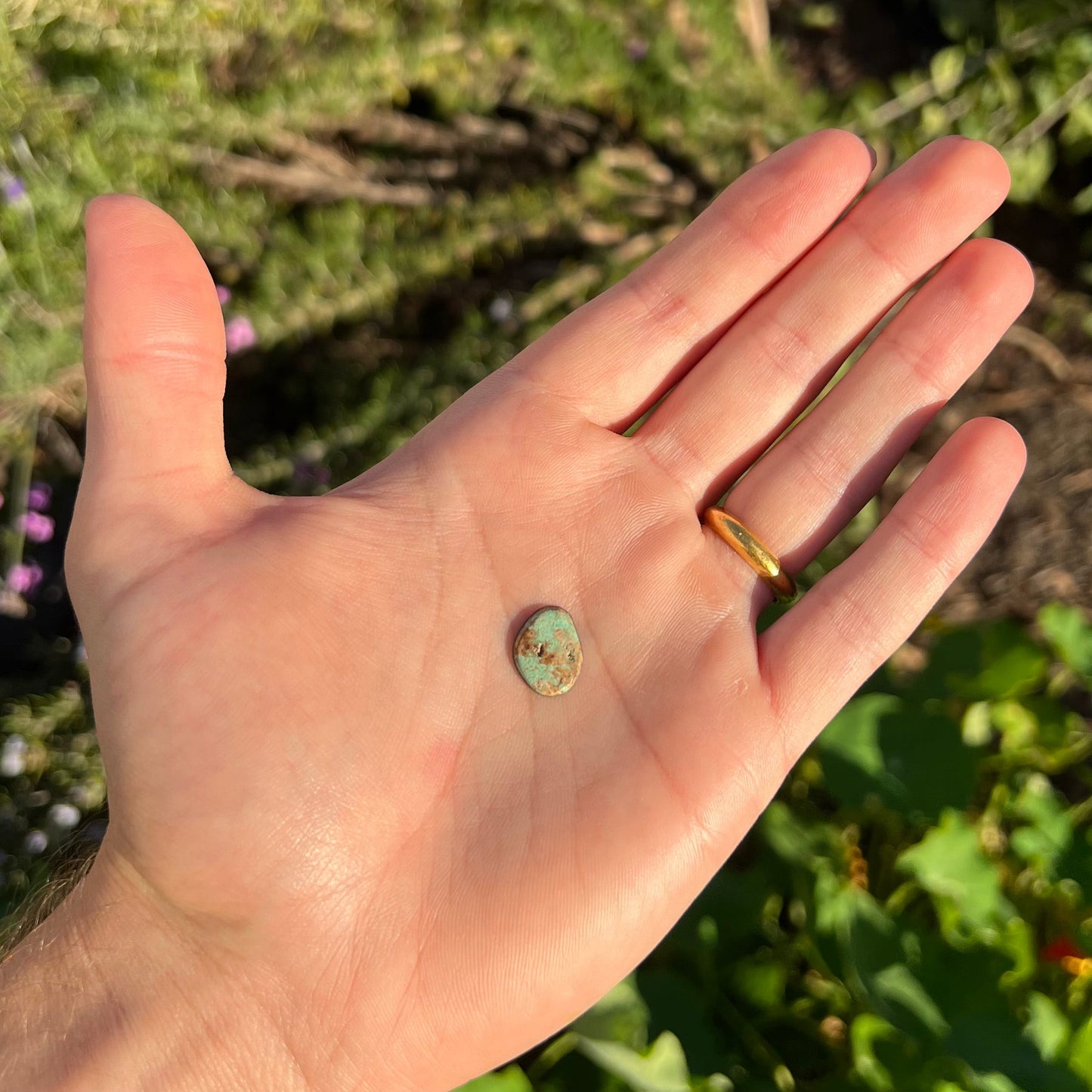 A loose, freeform cabochon cut Royston turquoise stone.  The stone is green with warm, brown matrix.