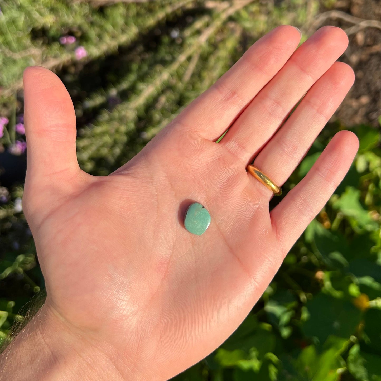 A backed, freeform cabochon cut dark green turquoise stone from Royston Mining District, Nevada.