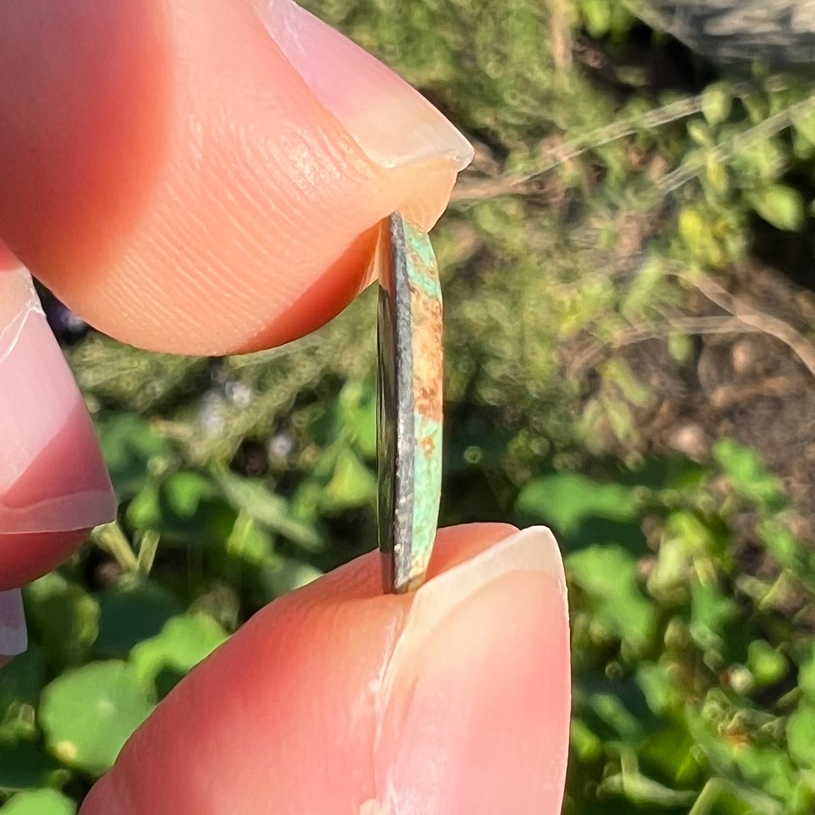 A loose, freeform cabochon cut Royston turquoise stone.  The stone is green with warm, brown matrix.