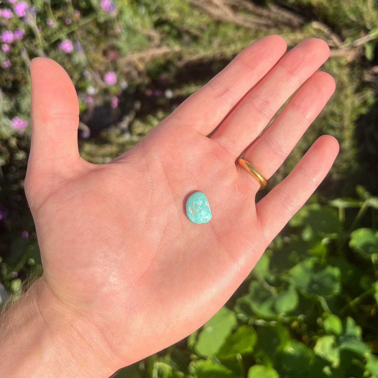 A greenish blue Royston turquoise cabochon.  The stone is backed.