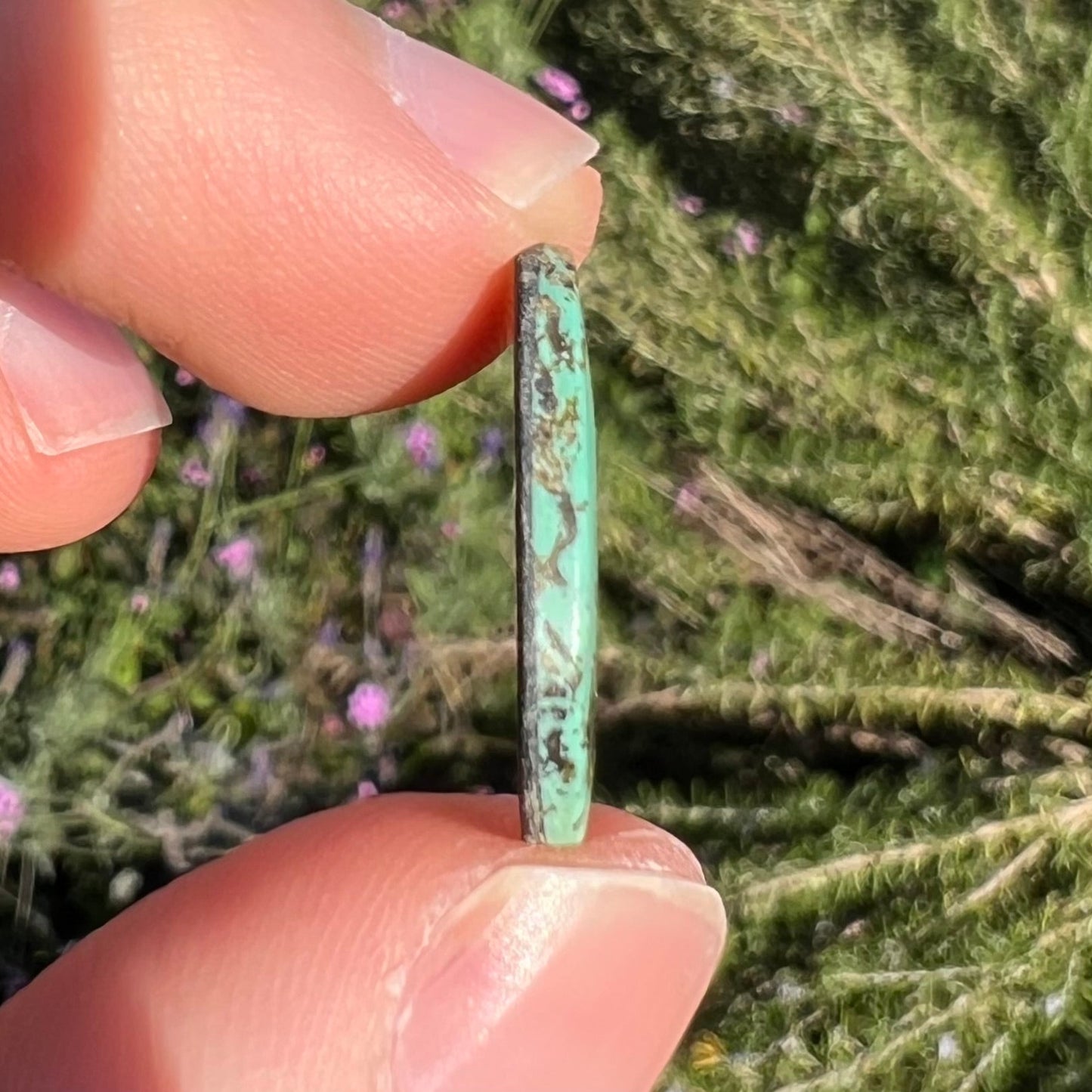 A loose green turquoise stone.  The cabochon is green with black and brown matrix.