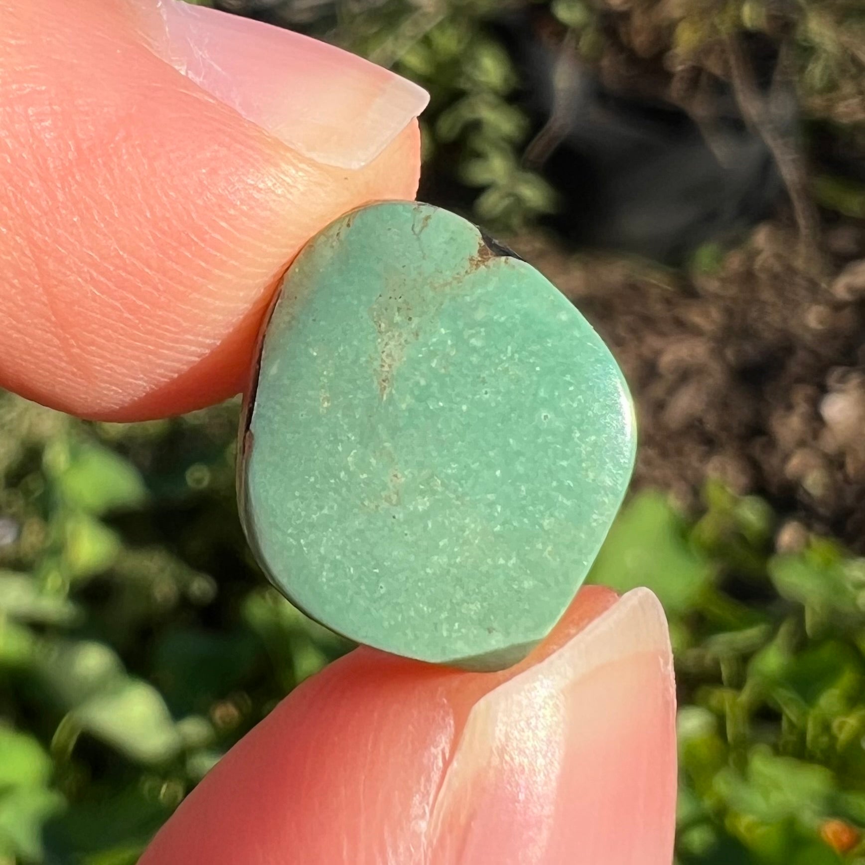 A backed, freeform cabochon cut dark green turquoise stone from Royston Mining District, Nevada.