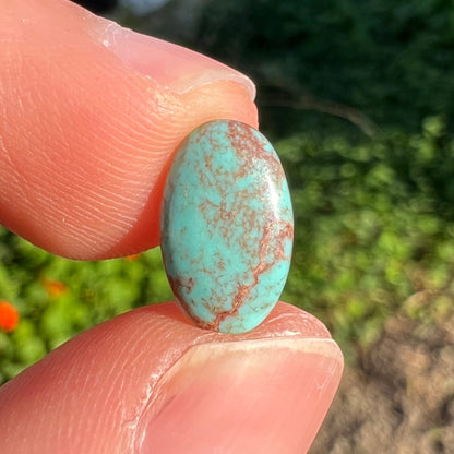 A loose lot of 5 oval cabochon cut Tyrone turquoise stones.  The stones are blue with red webbed matrix.