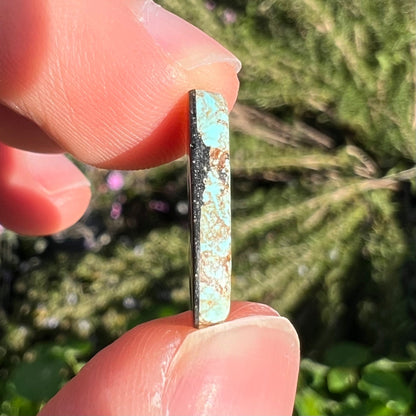 A loose, freeform cabochon cut Valley Blue turquoise stone.  The stone is light blue with black and brown matrix.