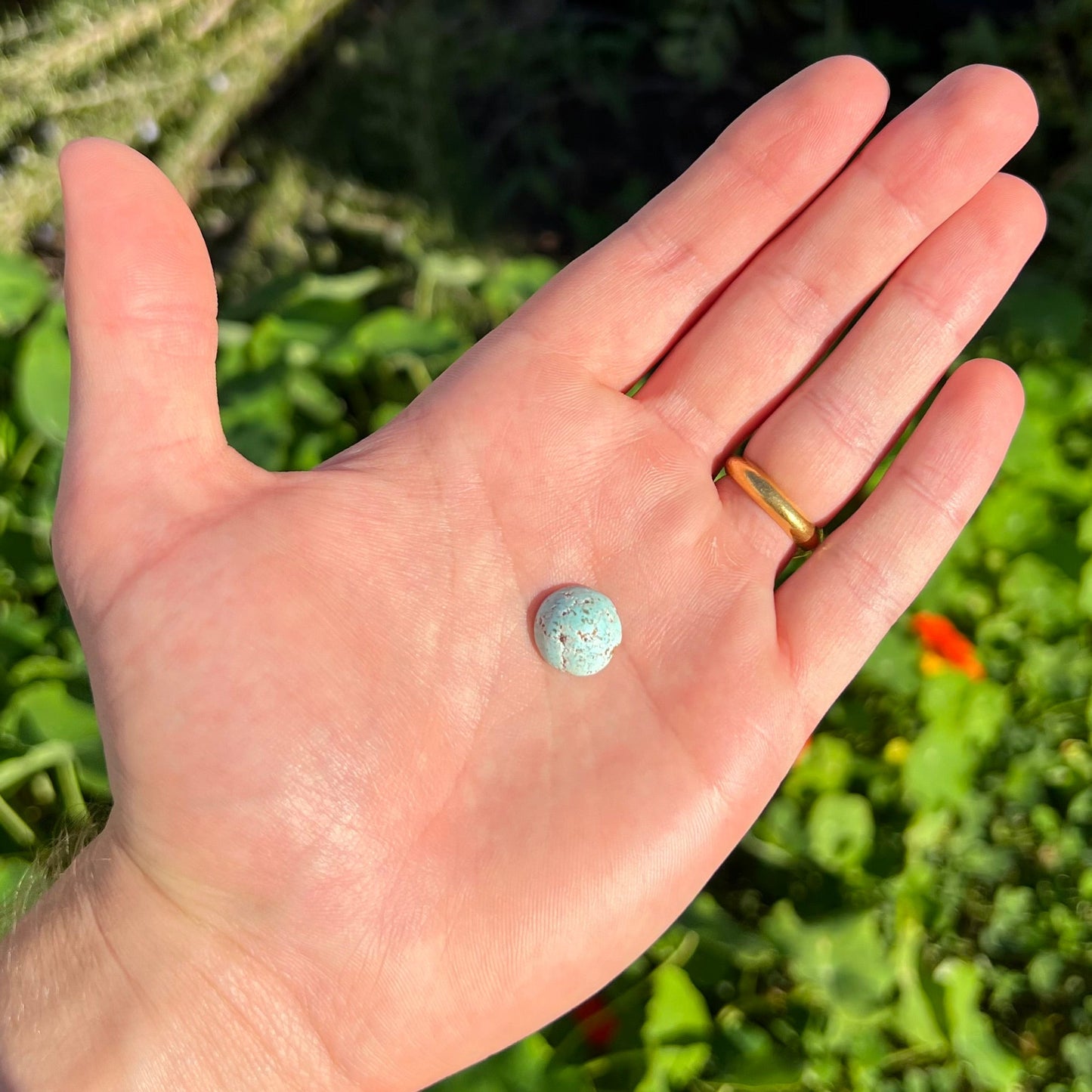 A round cabochon cut Sleeping Beauty turquoise stone.