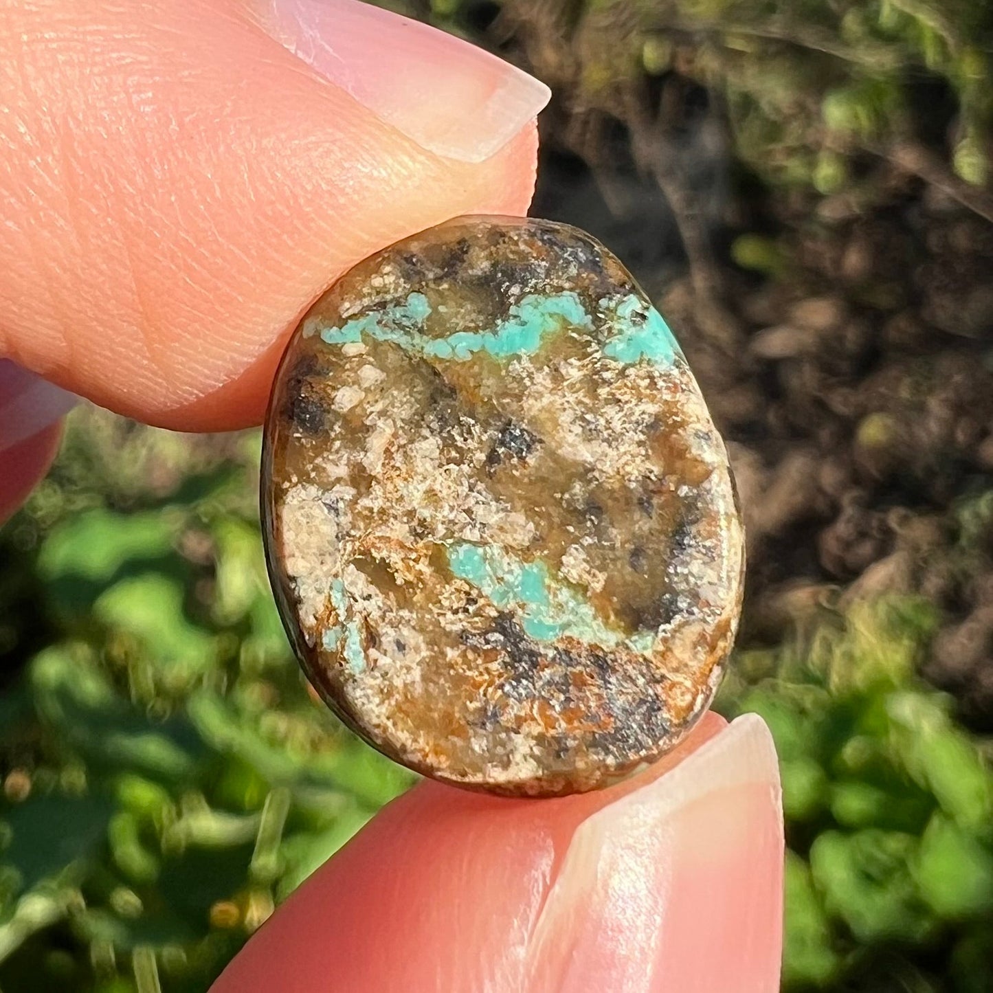 A loose, oval cabochon cut Morenci turquoise stone.