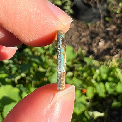 A loose, oval cabochon cut Morenci turquoise stone.