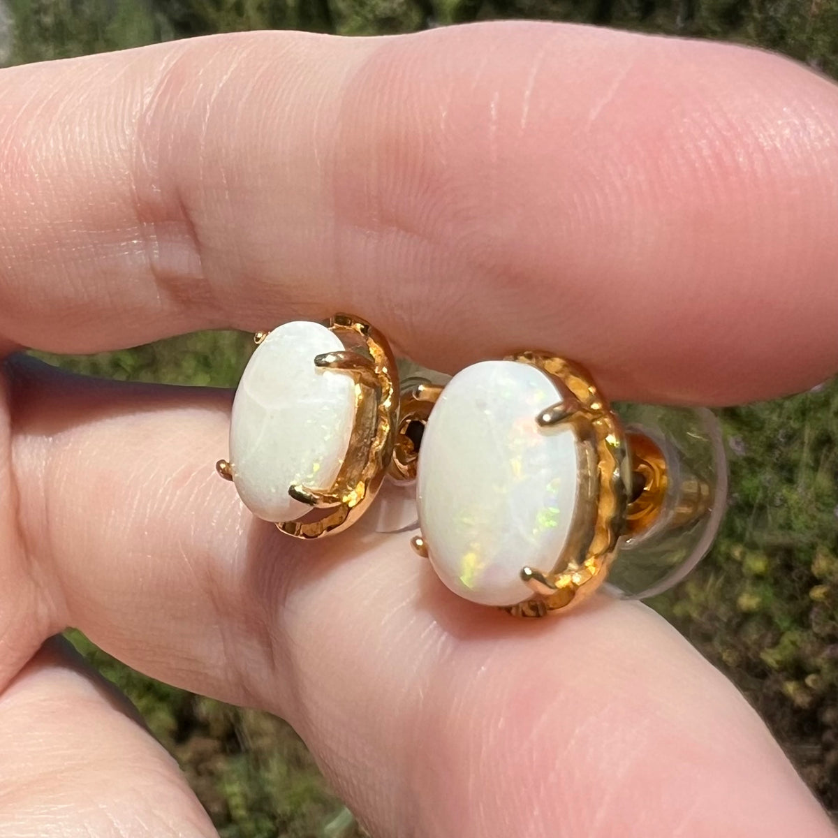 Green and orange colors seen in natural white opal stud earrings, held between fingers in sunlight
