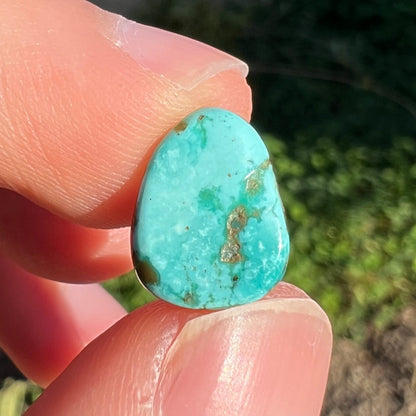 A loose, freeform pear shaped turquoise cabochon.  The stone is from the Pilot Mountain Mine in Nevada.