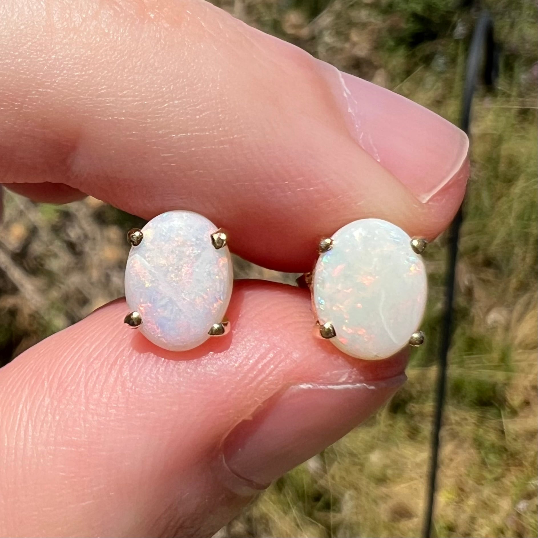 Close-up of oval cut opal earrings in sunlight, held between fingers