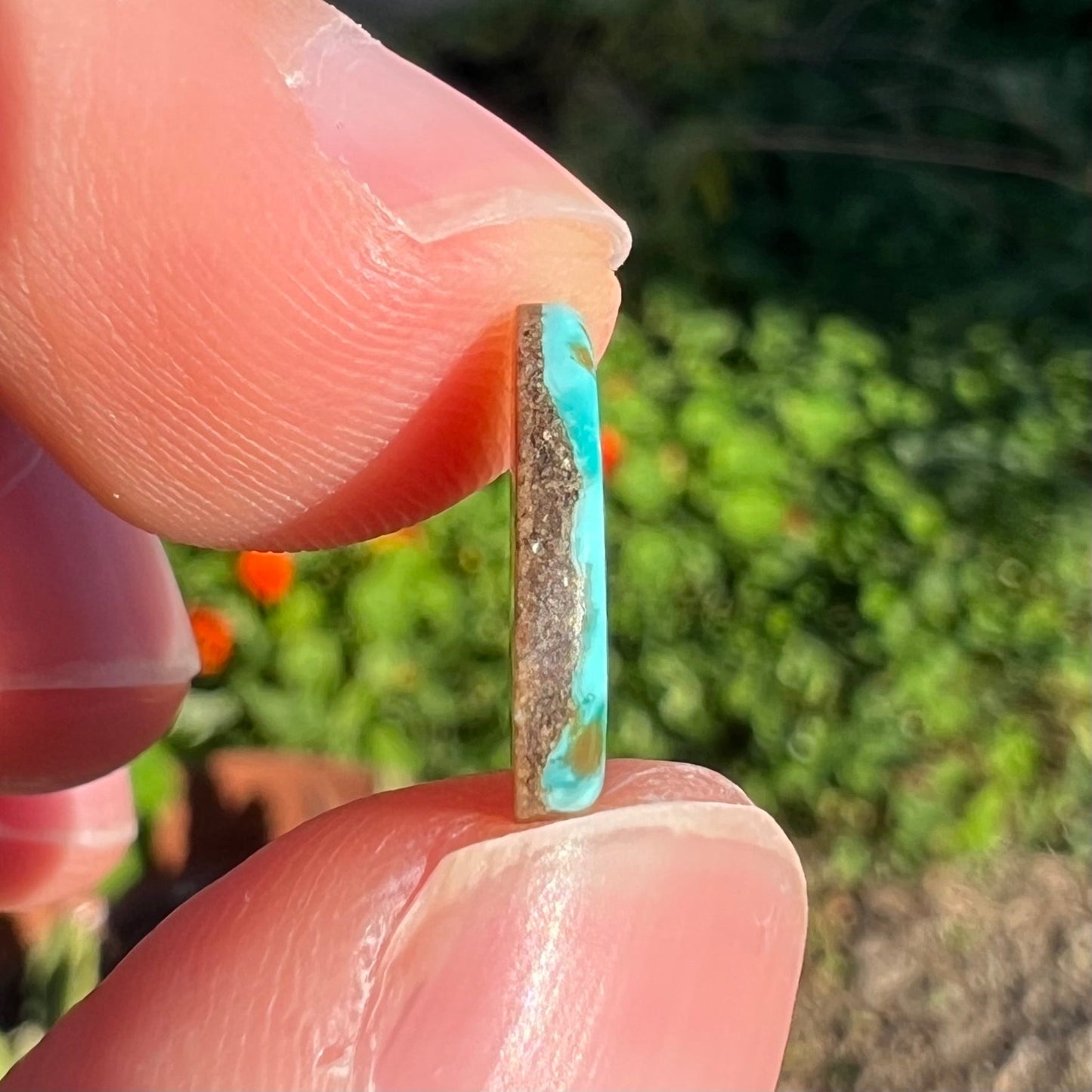 A loose, freeform pear shaped turquoise cabochon.  The stone is from the Pilot Mountain Mine in Nevada.