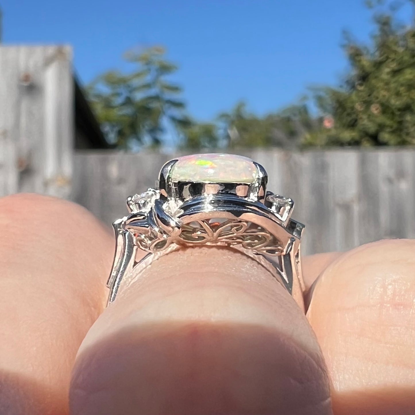 The gallery view of a Japanese platinum opal ring in the sunlight, showcasing its filigree design.