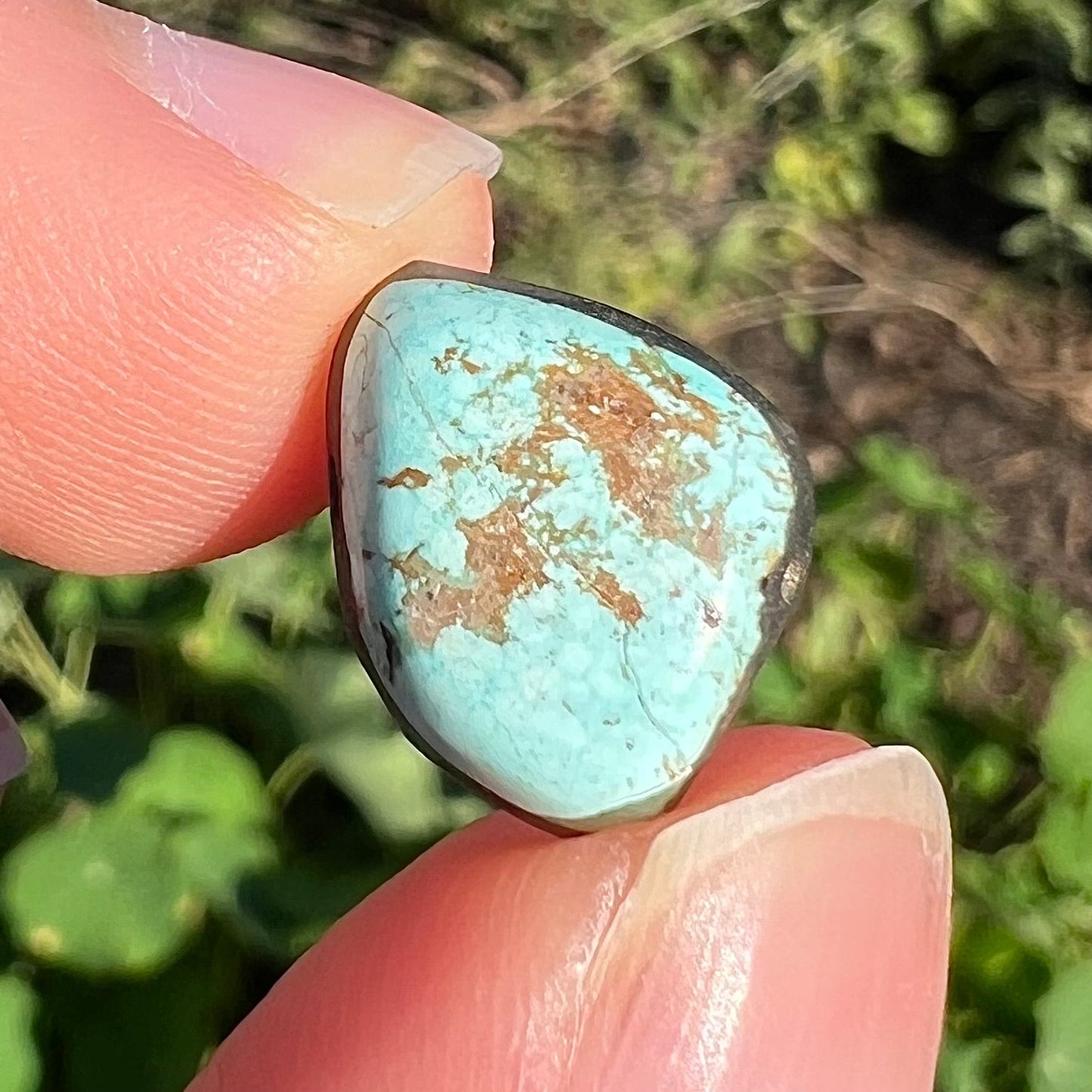 A loose, powder blue Dry Creek turquoise stone from Lander County, Nevada.