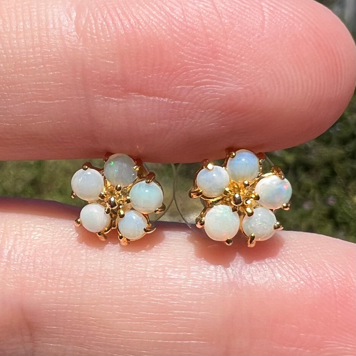Close-up of real Australian opal flower earrings, shown in sunlight held between two fingers