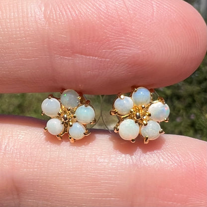 Close-up of real Australian opal flower earrings, shown in sunlight held between two fingers