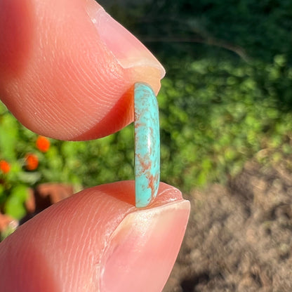 A loose lot of 5 oval cabochon cut Tyrone turquoise stones.  The stones are blue with red webbed matrix.