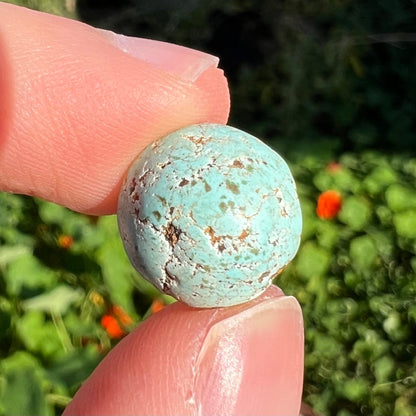 A round cabochon cut Sleeping Beauty turquoise stone.