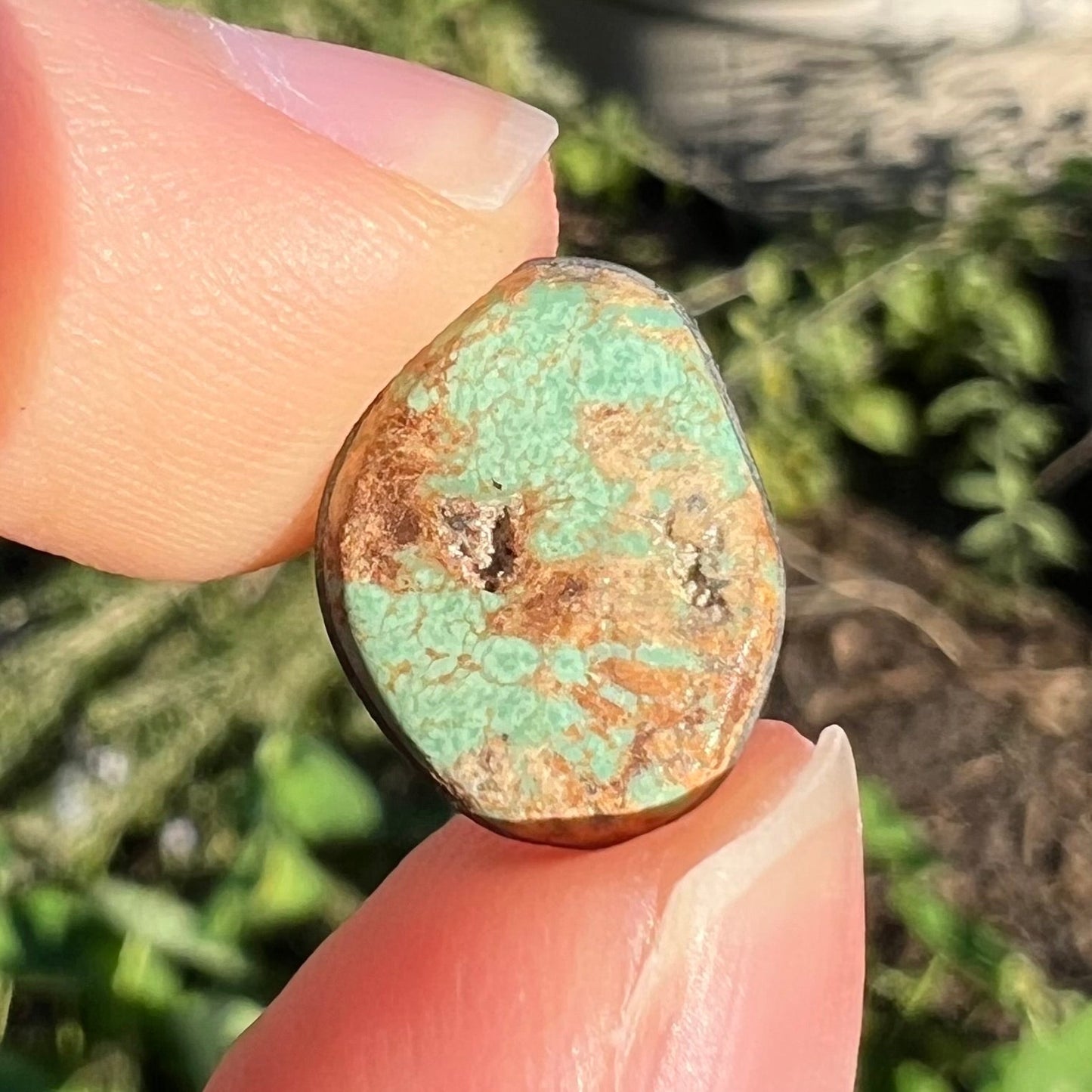 A loose, freeform cabochon cut Royston turquoise stone.  The stone is green with warm, brown matrix.