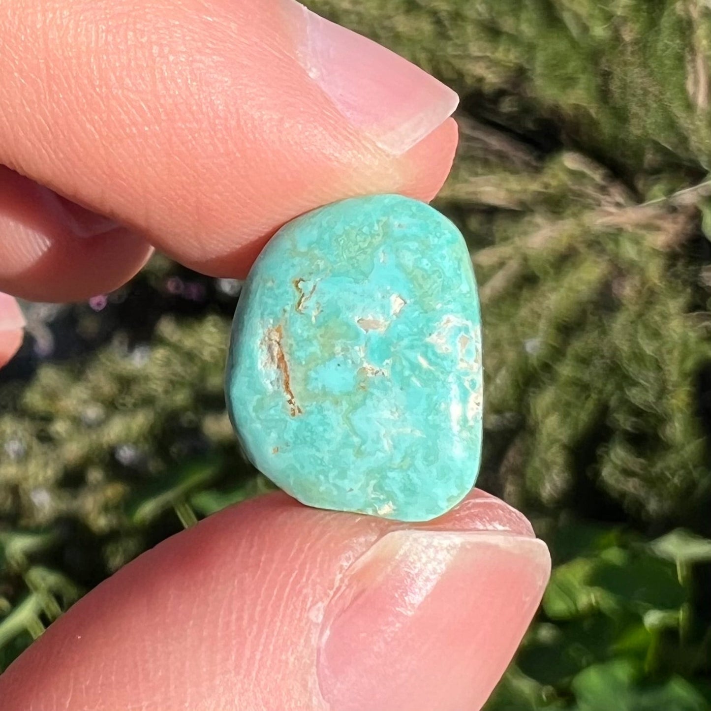 A greenish blue Royston turquoise cabochon.  The stone is backed.