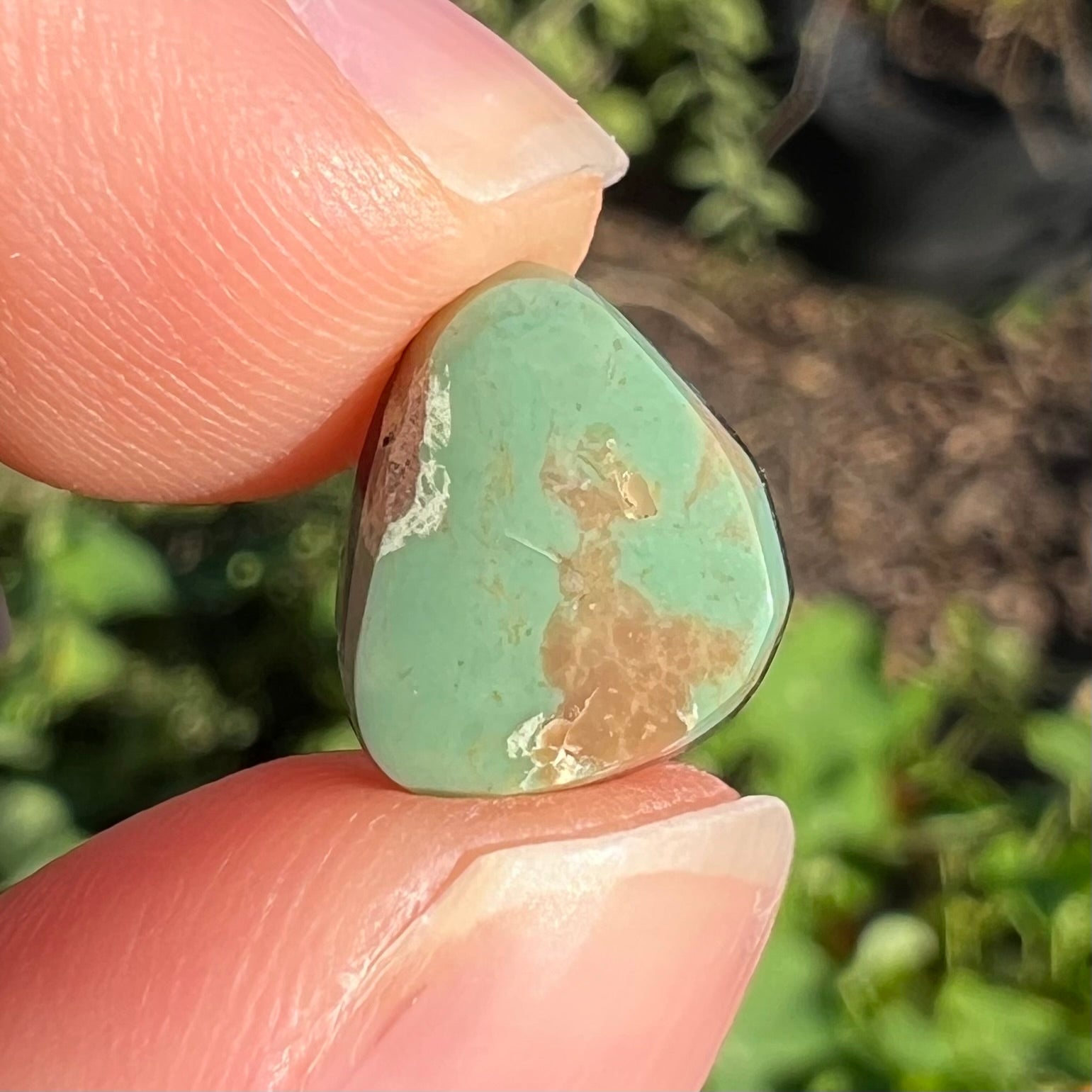 A loose, green Royston turquoise stone.  The stone has a brown matrix.