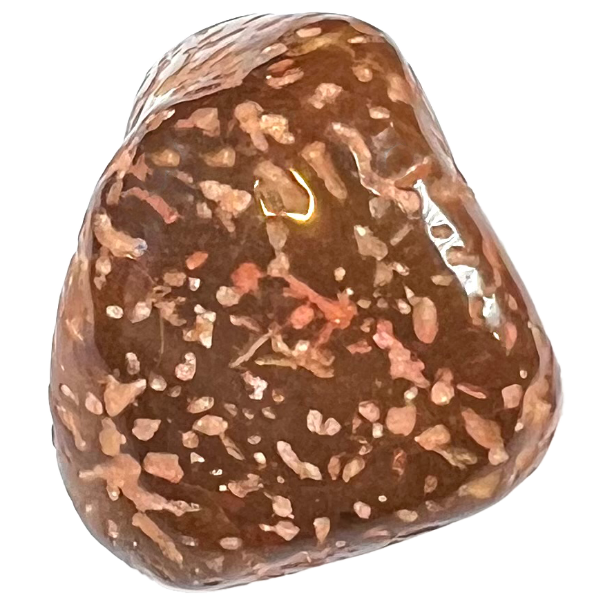 A tumbled star jasper stone.  The stone is dark brown with light brown spotting, some of which crosses itself to give the appearance of "stars."