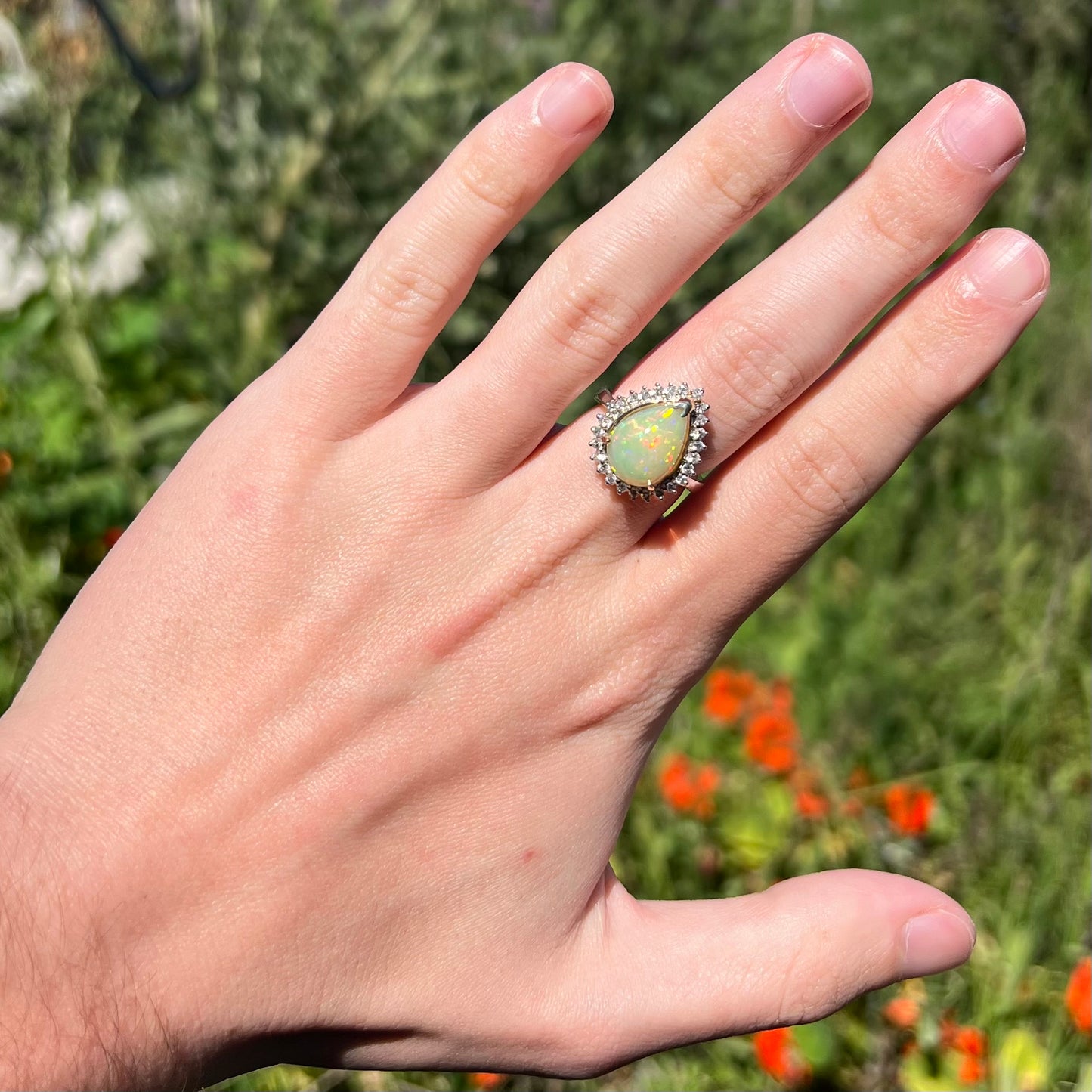 Hand wearing a white gold teardrop shaped fire opal and diamond halo ring in natural sunlight.