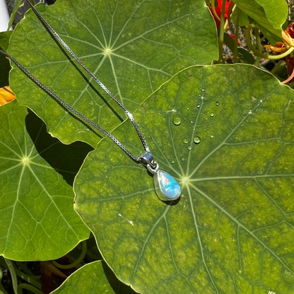 A dainty, sterling silver necklace bezel set with a natural, pear shaped opal stone.