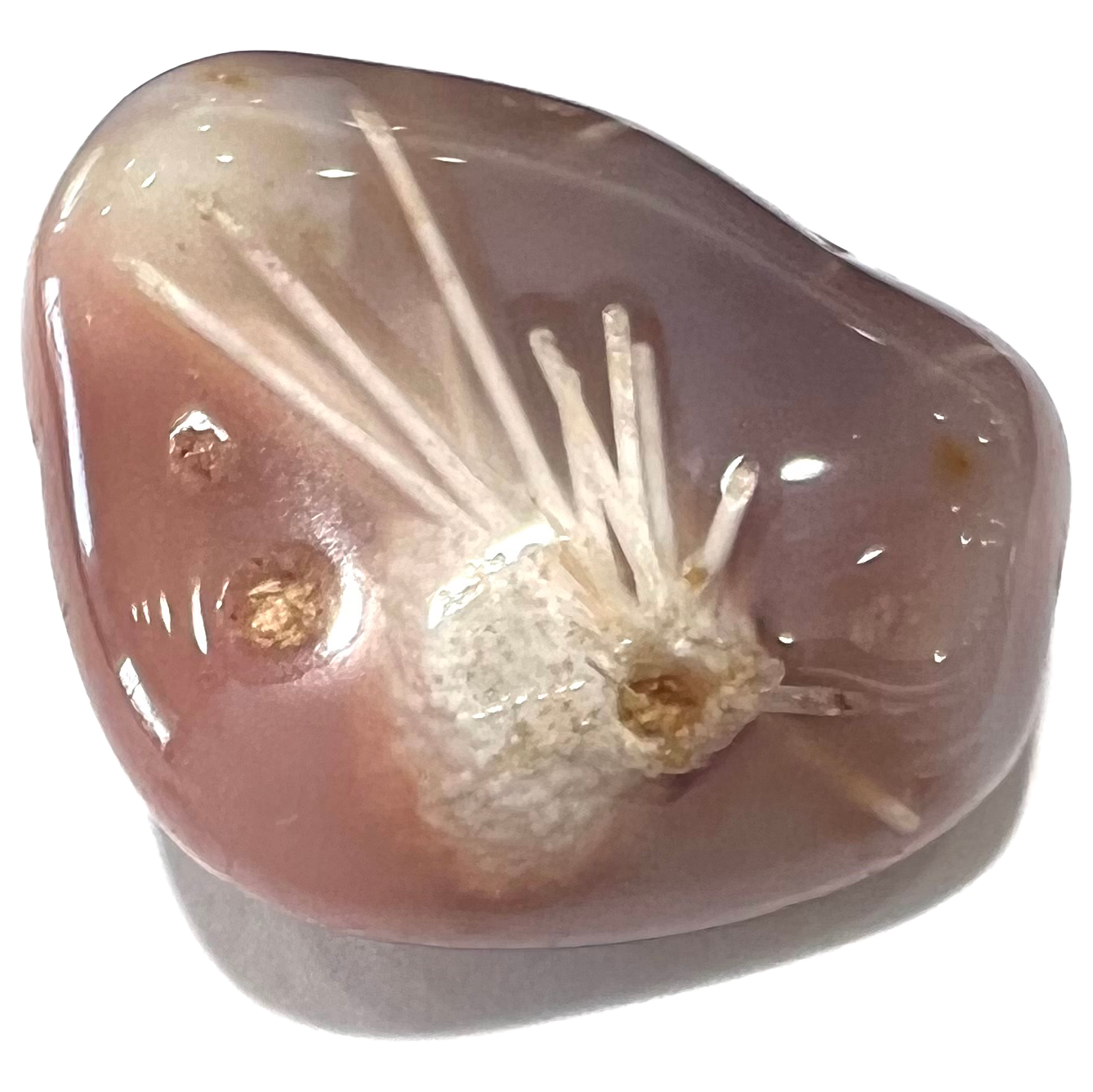 A purplish tumbled agate stone with sagenite needle inclusions.