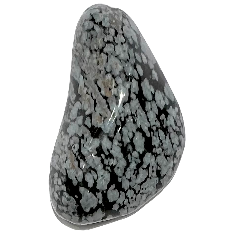 A tumble polished snowflake obsidian crystal.  The stone is black with white spotting.