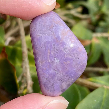 Tumbled Turkiyenite Jade, 89.51cts