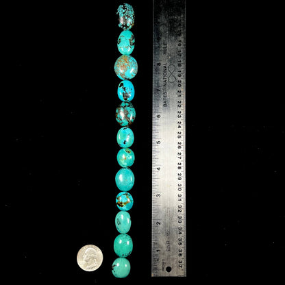 A strand of 12 large, dyed turquoise stones.