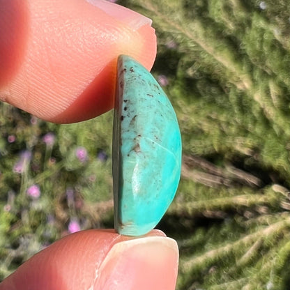 A blue-green turquoise stone from the Pilot Mountain Mine in Nevada.