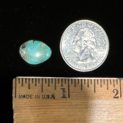 A loose Valley Blue turquoise cabochon from Lander County, Nevada.