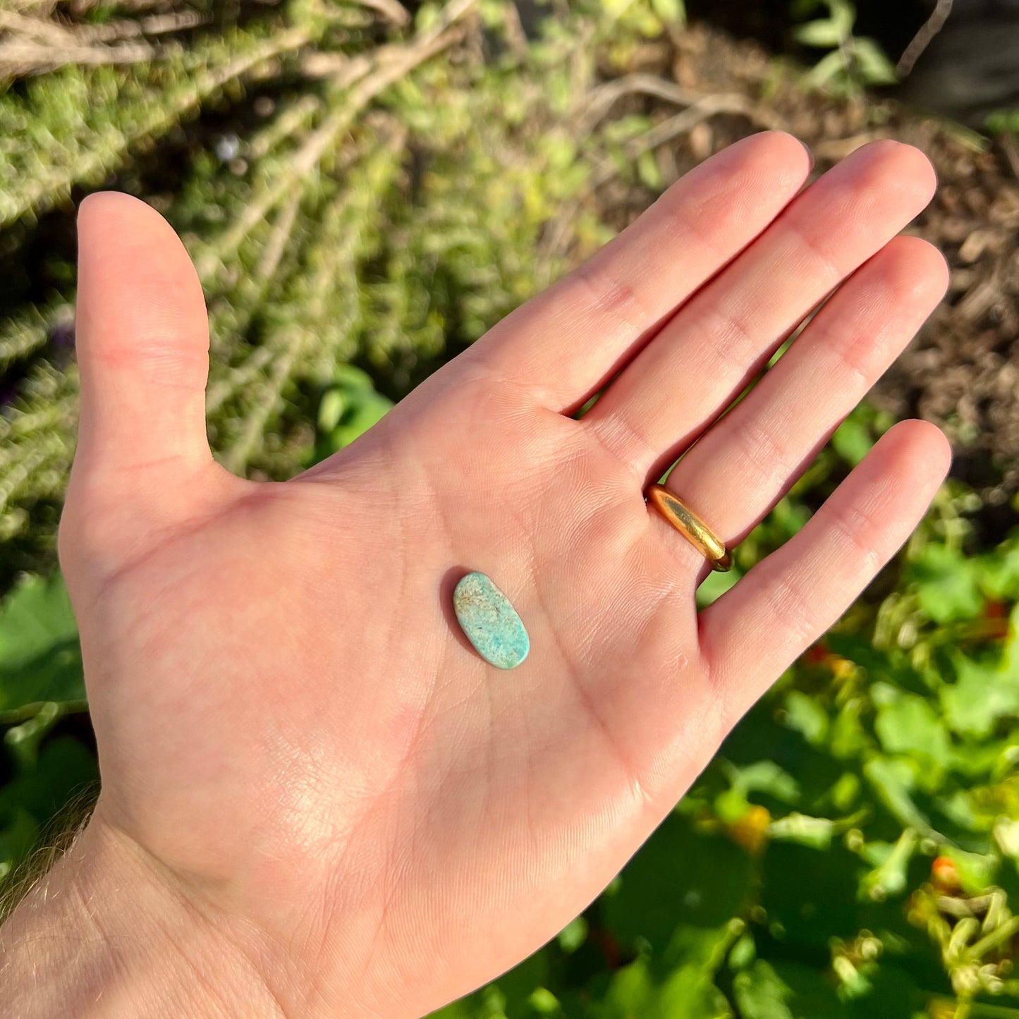 A freeform oval cabohcon cut turquoise stone from Lander County, Nevada.  The stone is greenish blue in color.